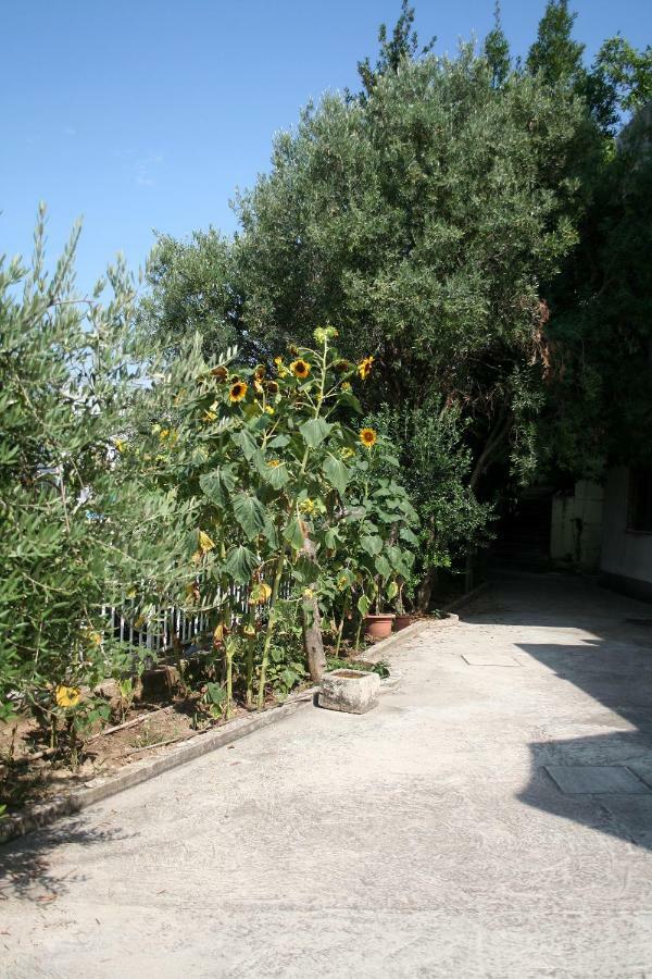 Sunflower Split Exteriér fotografie